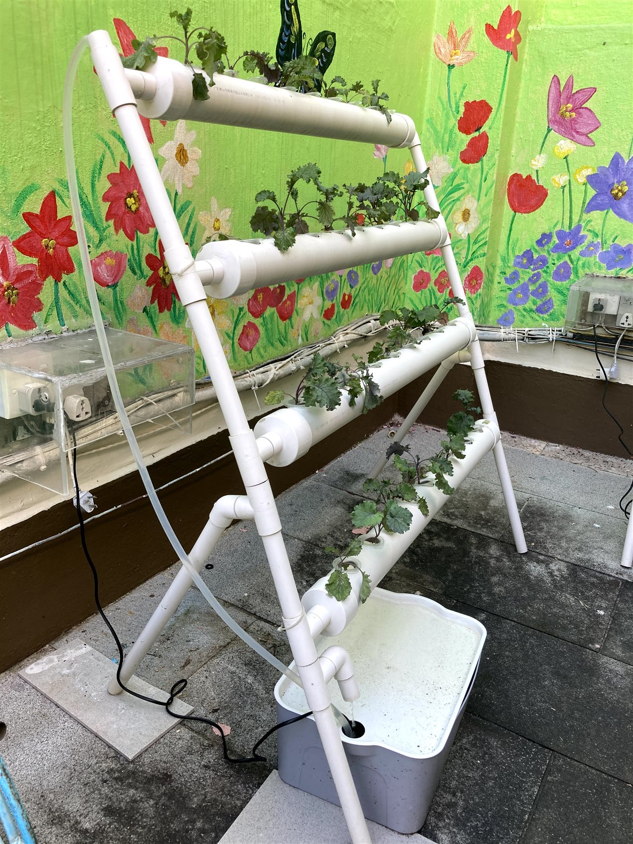 水耕種植機