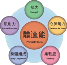 體適能訓練-宏恩綜合醫院復健科